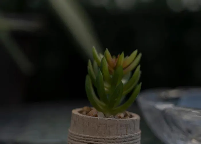 Piazza Dei Signori Lägenhet *